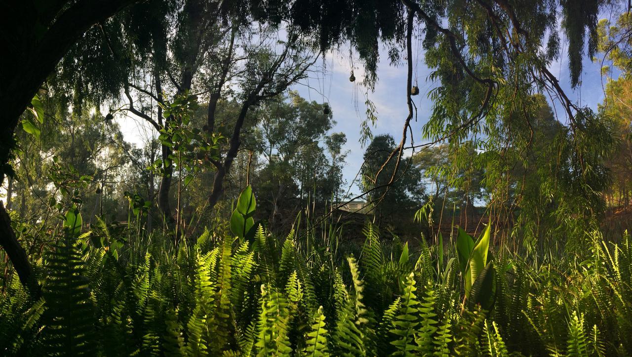 Rain Forest Boutique Camp Krugersdorp Exterior photo